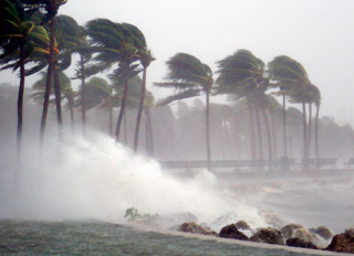 Nursing home where 12 residents died after Hurricane Irma fighting for its license at hearing